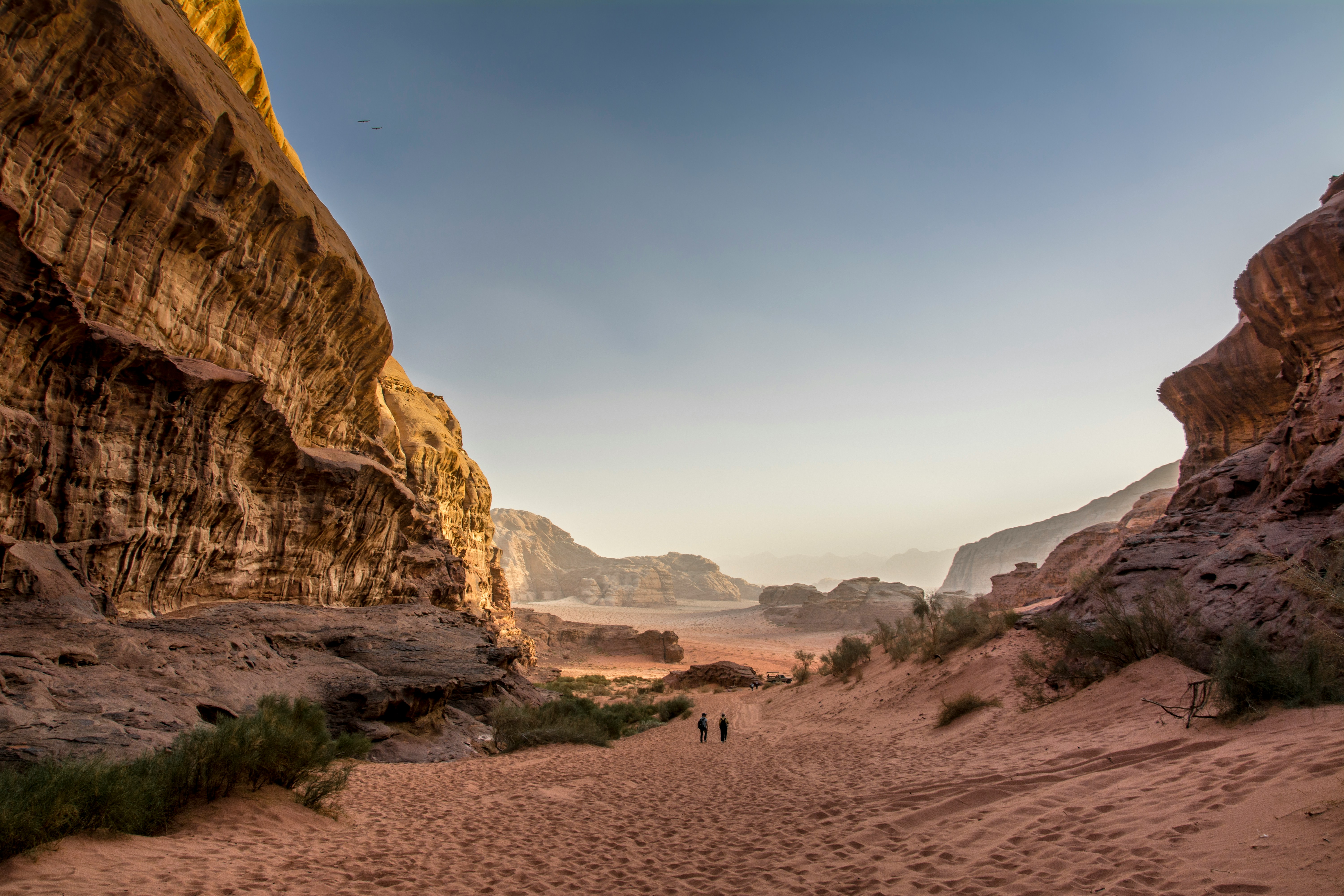 Rocky valley with scattered juniper trees descending into a sandstone canyon in southern Jordan
