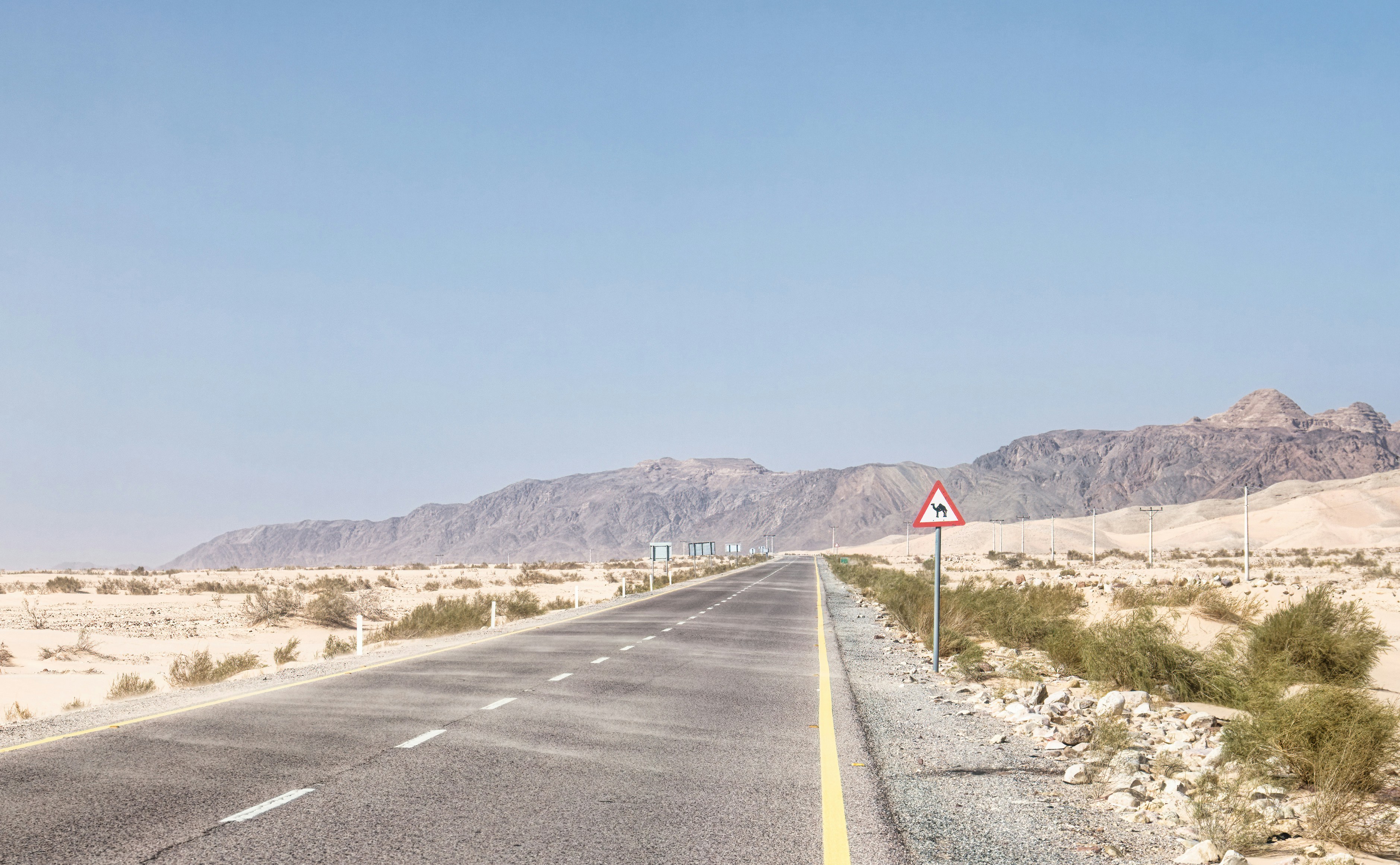 A straight road through Jordan's desert landscape with a camel crossing warning sign and rocky mountains in the distance