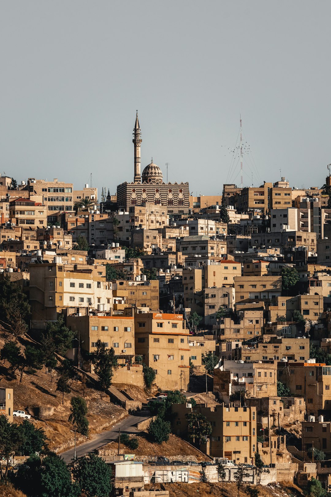 A Jordanian hillside town of sandstone buildings and a mosque minaret, typical of the landscape surrounding Madaba on the King's Highway